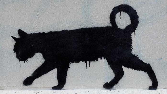 Chatnoir