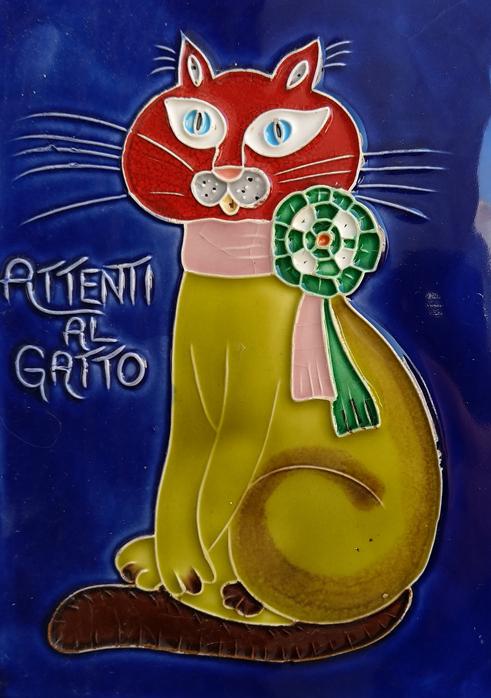 El gato