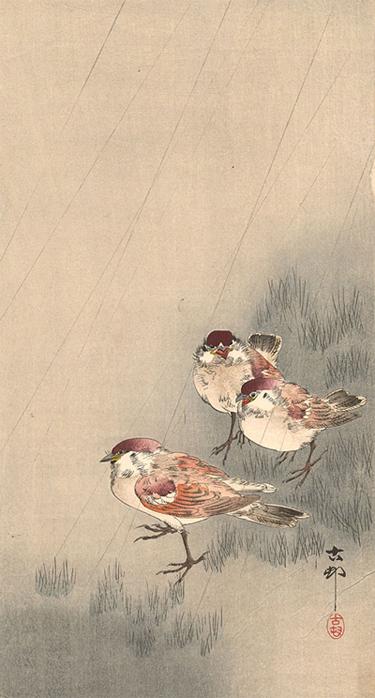 Estampes japonaise oiseaux