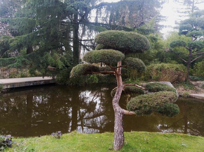 Ile de versailles jardin japonais c