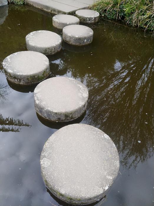 Ile de versailles jardin japonais e