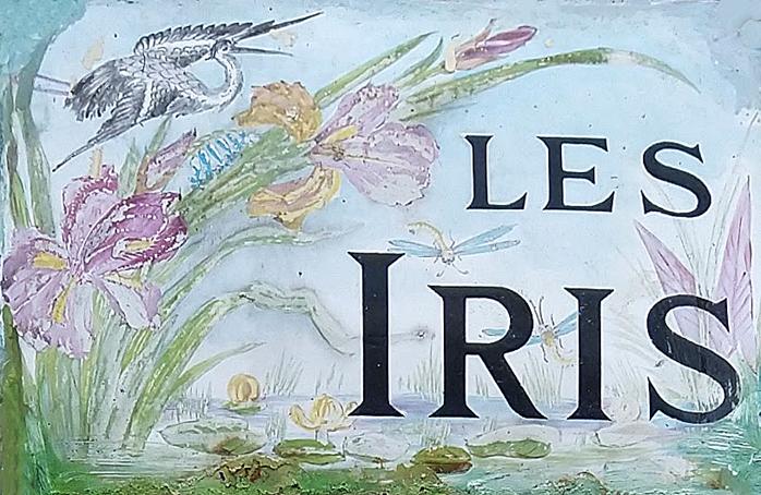 Les iris