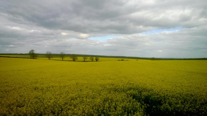 Plateau curtil st seine1