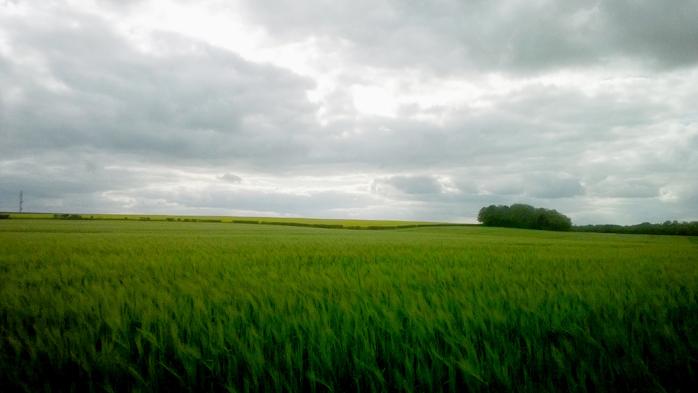 Plateau curtil st seine3