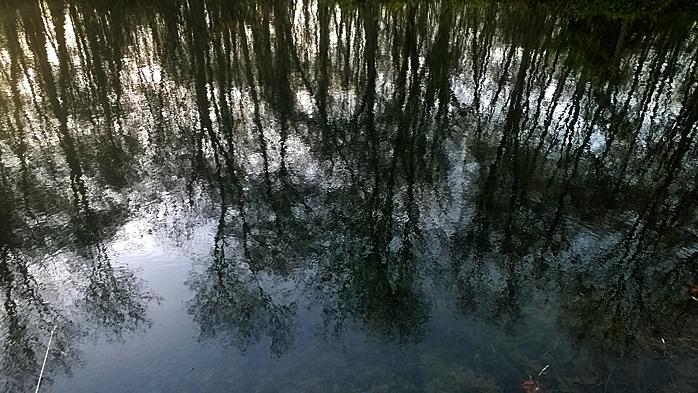 Reflets 1