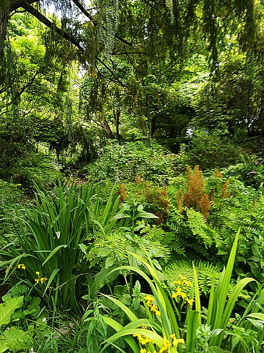 Vue du jardin alpin